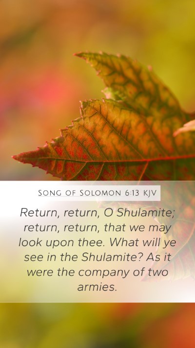 Song of Solomon 6:13 KJV Mobile Phone Wallpaper - Return, return, O Shulamite; return, return, that - Mobile Bible Verse Wallpaper