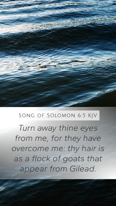 Song of Solomon 6:5 KJV Mobile Phone Wallpaper - Turn away thine eyes from me, for they have - Mobile Bible Verse Wallpaper