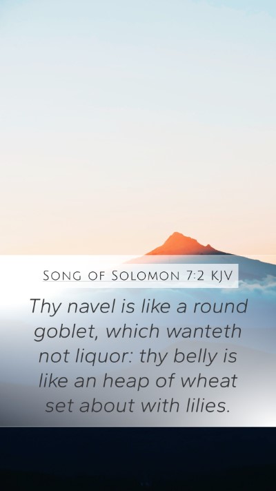 Song of Solomon 7:2 KJV Mobile Phone Wallpaper - Thy navel is like a round goblet, which wanteth - Mobile Bible Verse Wallpaper