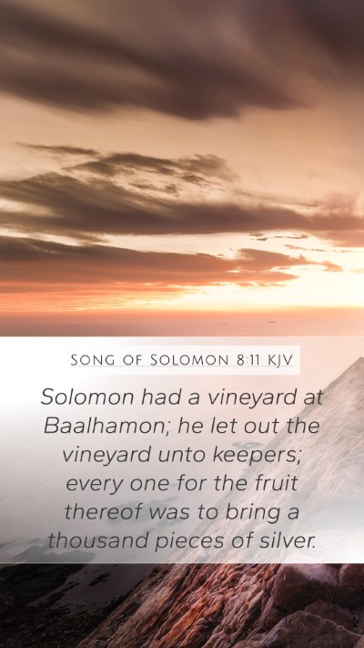 Song of Solomon 8:11 KJV Bible Verse Image