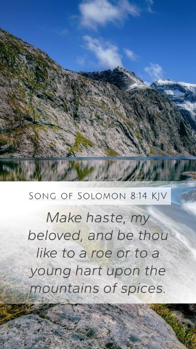 Song of Solomon 8:14 KJV Mobile Phone Wallpaper - Make haste, my beloved, and be thou like to a roe - Mobile Bible Verse Wallpaper
