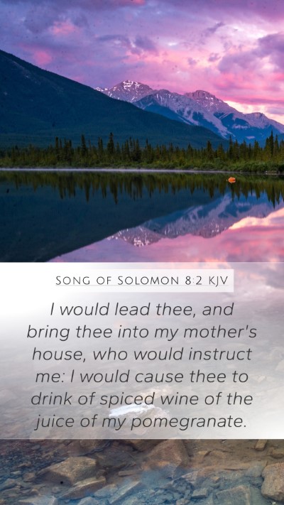 Song of Solomon 8:2 KJV Bible Verse Image