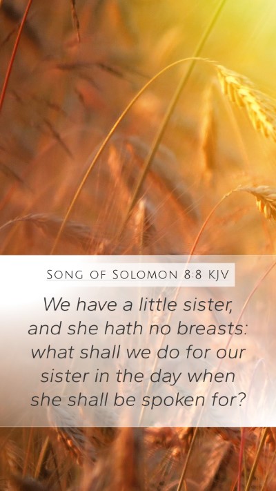 Song of Solomon 8:8 KJV Bible Verse Image