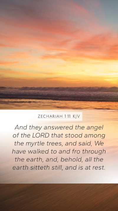 Zechariah 1:11 KJV Mobile Phone Wallpaper - And they answered the angel of the LORD that - Mobile Bible Verse Wallpaper