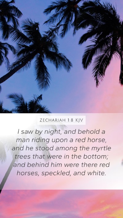 Zechariah 1:8 KJV Bible Verse Image