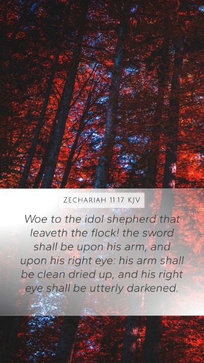 Zechariah 11:17 KJV Bible Verse Image