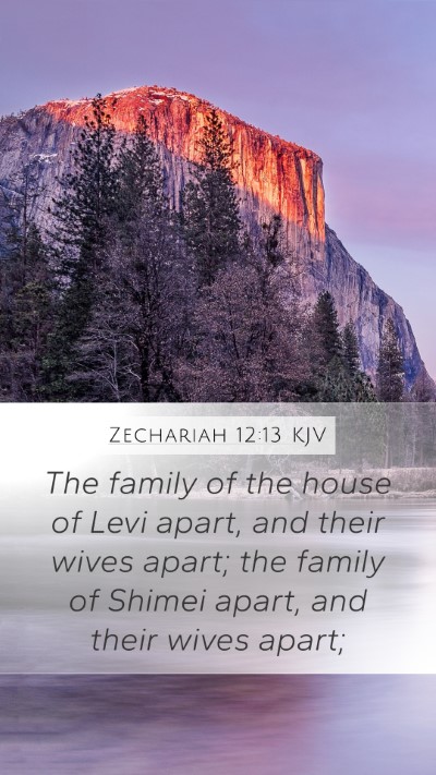 Zechariah 12:13 KJV Bible Verse Image