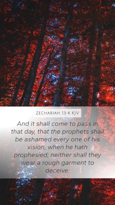 Zechariah 13:4 KJV Bible Verse Image