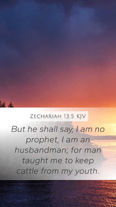 Zechariah 13:5 KJV Bible Verse Image