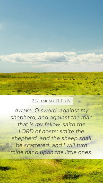Zechariah 13:7 KJV Bible Verse Image