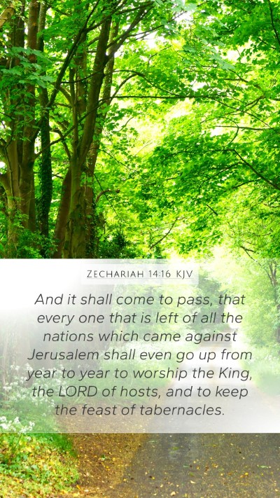 Zechariah 14:16 KJV Mobile Phone Wallpaper - And it shall come to pass, that every one that is - Mobile Bible Verse Wallpaper