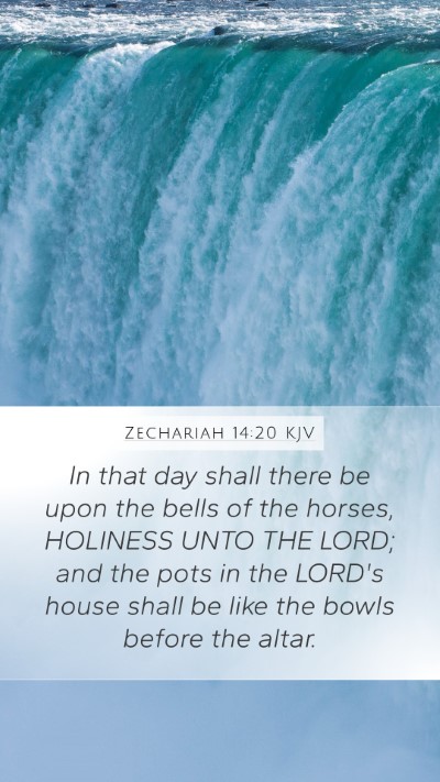 Zechariah 14:20 KJV Bible Verse Image