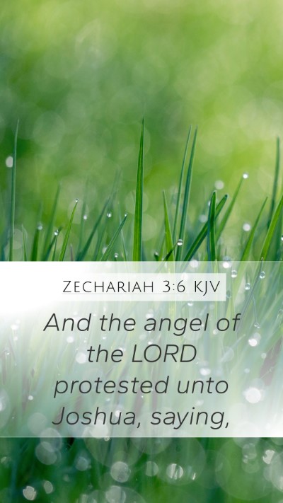 Zechariah 3:6 KJV Bible Verse Image