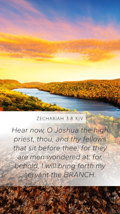 Zechariah 3:8 KJV Bible Verse Image