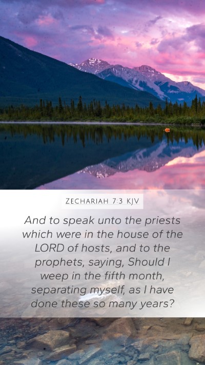 Zechariah 7:3 KJV Bible Verse Image