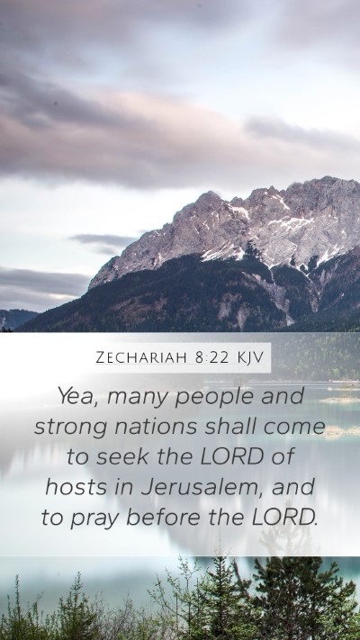 Zechariah 8:22 KJV Bible Verse Image