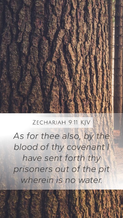 Zechariah 9:11 KJV Bible Verse Image
