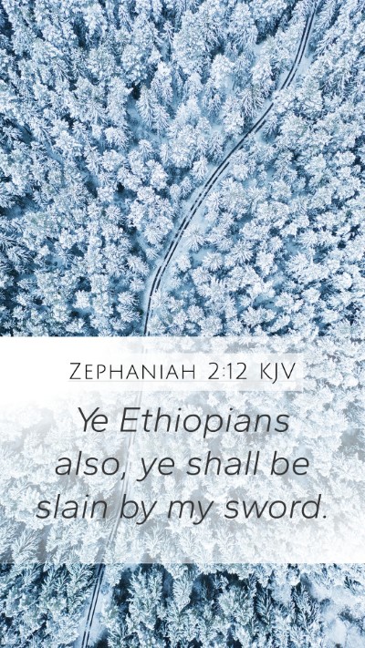 Zephaniah 2:12 KJV Bible Verse Image
