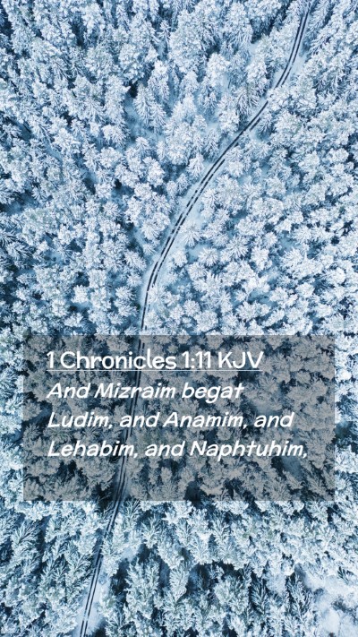 Picture 02 - 1 Chronicles 1:11 KJV Mobile Phone Wallpaper - And Mizraim begat Ludim, and Anamim, and Lehabim, - Mobile Bible Verse Wallpaper