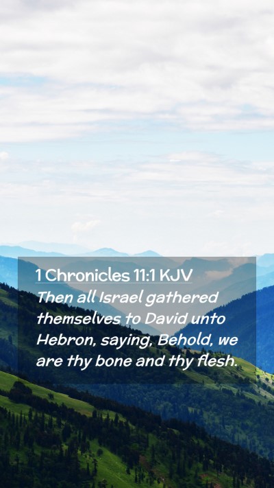 Picture 02 - 1 Chronicles 11:1 KJV Mobile Phone Wallpaper - Then all Israel gathered themselves to David unto - Mobile Bible Verse Wallpaper