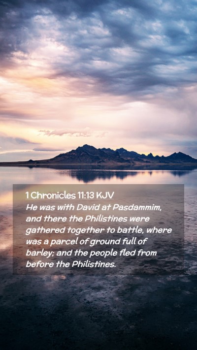 Picture 02 - 1 Chronicles 11:13 KJV Mobile Phone Wallpaper - He was with David at Pasdammim, and there the - Mobile Bible Verse Wallpaper