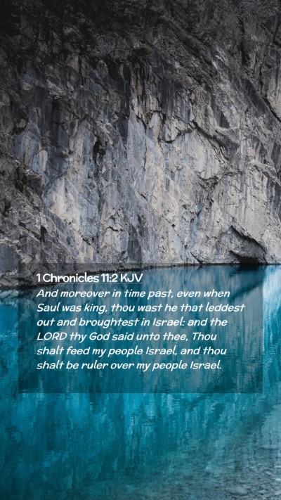 Picture 02 - 1 Chronicles 11:2 KJV Mobile Phone Wallpaper - And moreover in time past, even when Saul was - Mobile Bible Verse Wallpaper