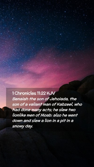 Picture 02 - 1 Chronicles 11:22 KJV Mobile Phone Wallpaper - Benaiah the son of Jehoiada, the son of a valiant - Mobile Bible Verse Wallpaper