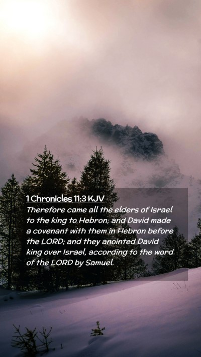 Picture 02 - 1 Chronicles 11:3 KJV Mobile Phone Wallpaper - Therefore came all the elders of Israel to the - Mobile Bible Verse Wallpaper