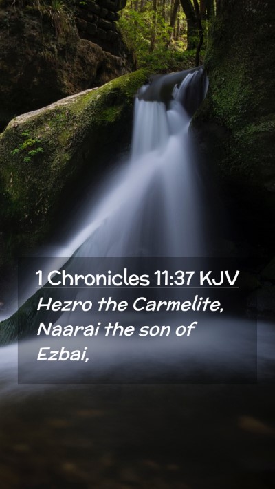 Picture 02 - 1 Chronicles 11:37 KJV Mobile Phone Wallpaper - Hezro the Carmelite, Naarai the son of - Mobile Bible Verse Wallpaper