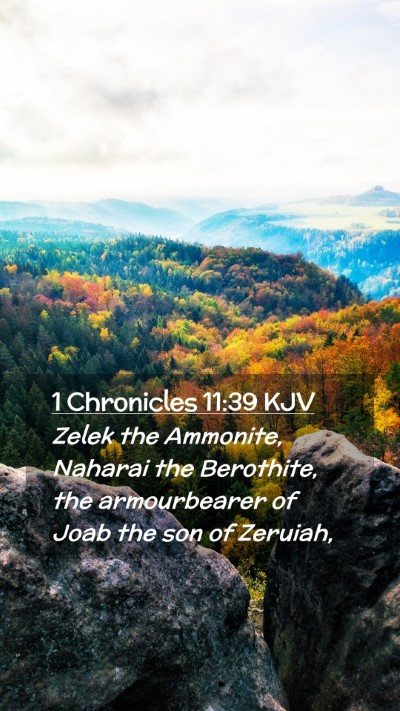 Picture 02 - 1 Chronicles 11:39 KJV Mobile Phone Wallpaper - Zelek the Ammonite, Naharai the Berothite, the - Mobile Bible Verse Wallpaper