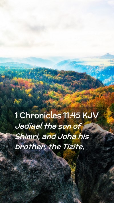 Picture 02 - 1 Chronicles 11:45 KJV Mobile Phone Wallpaper - Jediael the son of Shimri, and Joha his brother, - Mobile Bible Verse Wallpaper