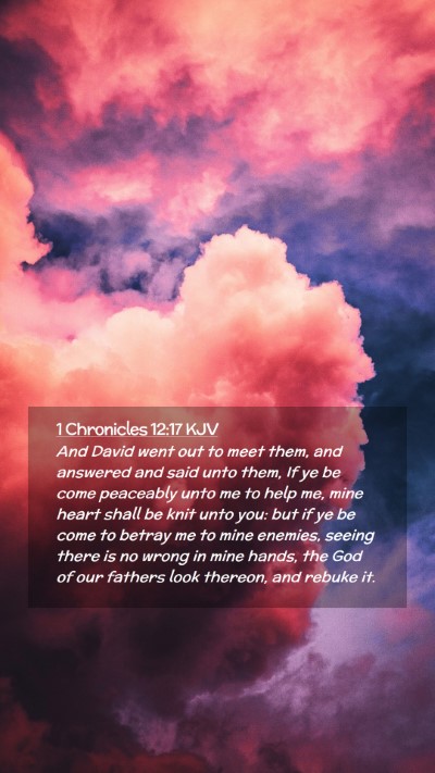 Picture 02 - 1 Chronicles 12:17 KJV Mobile Phone Wallpaper - And David went out to meet them, and answered and - Mobile Bible Verse Wallpaper