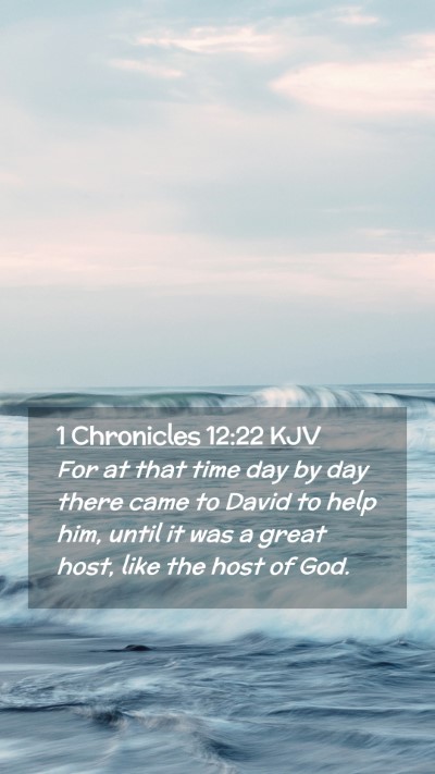 Picture 02 - 1 Chronicles 12:22 KJV Mobile Phone Wallpaper - For at that time day by day there came to David - Mobile Bible Verse Wallpaper