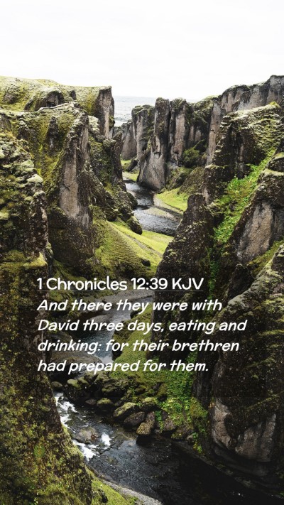 Picture 02 - 1 Chronicles 12:39 KJV Mobile Phone Wallpaper - And there they were with David three days, eating - Mobile Bible Verse Wallpaper