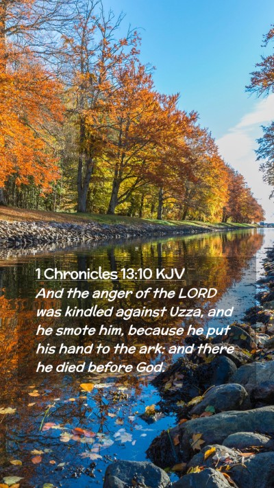 Picture 02 - 1 Chronicles 13:10 KJV Mobile Phone Wallpaper - And the anger of the LORD was kindled against - Mobile Bible Verse Wallpaper