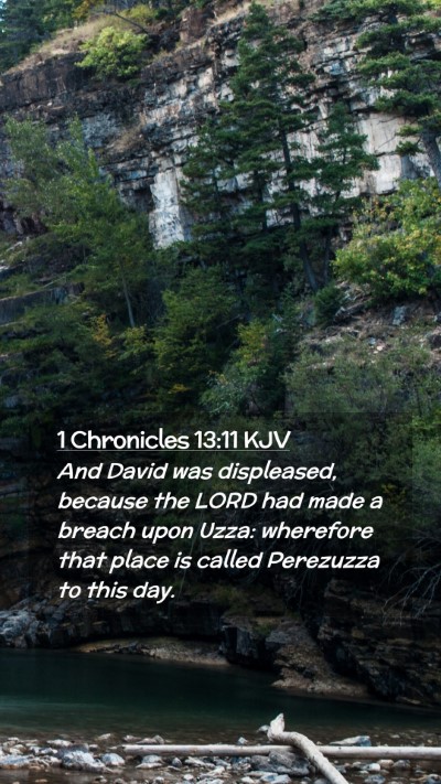 Picture 02 - 1 Chronicles 13:11 KJV Mobile Phone Wallpaper - And David was displeased, because the LORD had - Mobile Bible Verse Wallpaper