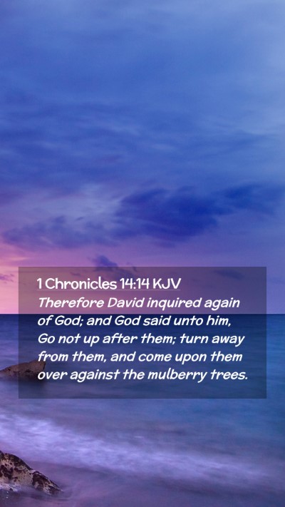 Picture 02 - 1 Chronicles 14:14 KJV Mobile Phone Wallpaper - Therefore David inquired again of God; and God - Mobile Bible Verse Wallpaper