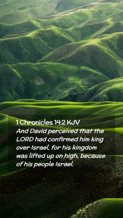 Picture 02 - 1 Chronicles 14:2 KJV Mobile Phone Wallpaper - And David perceived that the LORD had confirmed - Mobile Bible Verse Wallpaper