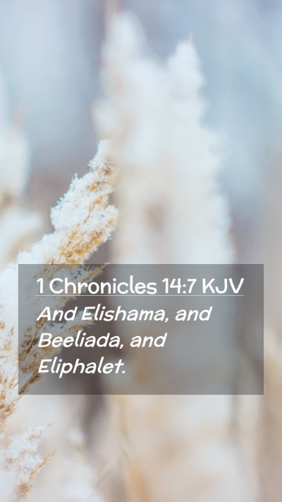 Picture 02 - 1 Chronicles 14:7 KJV Mobile Phone Wallpaper - And Elishama, and Beeliada, and - Mobile Bible Verse Wallpaper