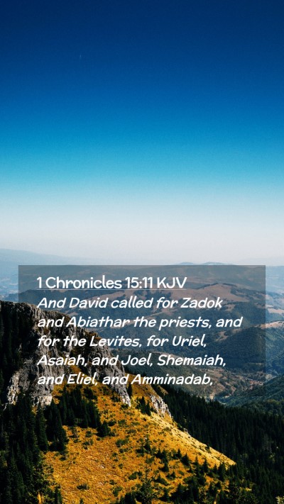 Picture 02 - 1 Chronicles 15:11 KJV Mobile Phone Wallpaper - And David called for Zadok and Abiathar the - Mobile Bible Verse Wallpaper