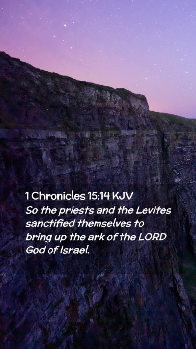 Picture 02 - 1 Chronicles 15:14 KJV Mobile Phone Wallpaper - So the priests and the Levites sanctified - Mobile Bible Verse Wallpaper
