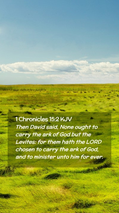 Picture 02 - 1 Chronicles 15:2 KJV Mobile Phone Wallpaper - Then David said, None ought to carry the ark of - Mobile Bible Verse Wallpaper