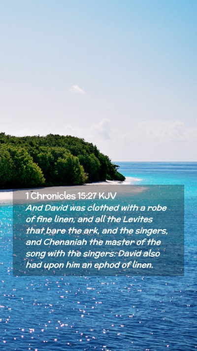 Picture 02 - 1 Chronicles 15:27 KJV Mobile Phone Wallpaper - And David was clothed with a robe of fine linen, - Mobile Bible Verse Wallpaper