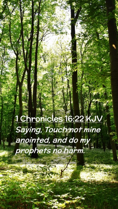 Picture 02 - 1 Chronicles 16:22 KJV Mobile Phone Wallpaper - Saying, Touch not mine anointed, and do my - Mobile Bible Verse Wallpaper