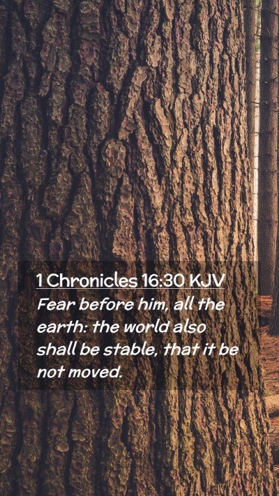 Picture 02 - 1 Chronicles 16:30 KJV Mobile Phone Wallpaper - Fear before him, all the earth: the world also - Mobile Bible Verse Wallpaper