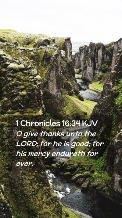 Picture 02 - 1 Chronicles 16:34 KJV Mobile Phone Wallpaper - O give thanks unto the LORD; for he is good; for - Mobile Bible Verse Wallpaper