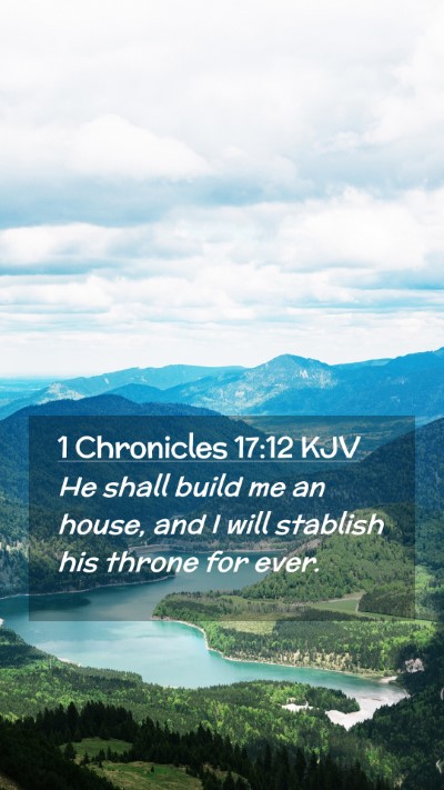 Picture 02 - 1 Chronicles 17:12 KJV Mobile Phone Wallpaper - He shall build me an house, and I will stablish - Mobile Bible Verse Wallpaper