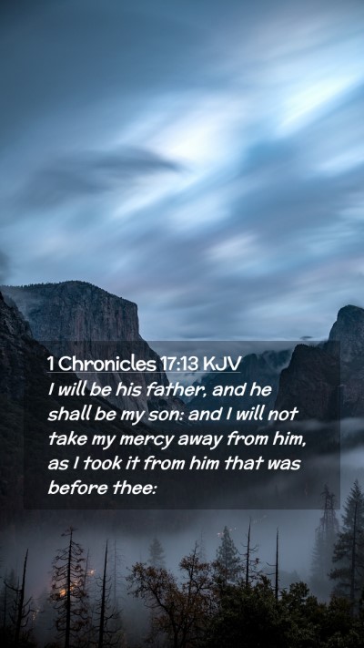 Picture 02 - 1 Chronicles 17:13 KJV Mobile Phone Wallpaper - I will be his father, and he shall be my son: and - Mobile Bible Verse Wallpaper
