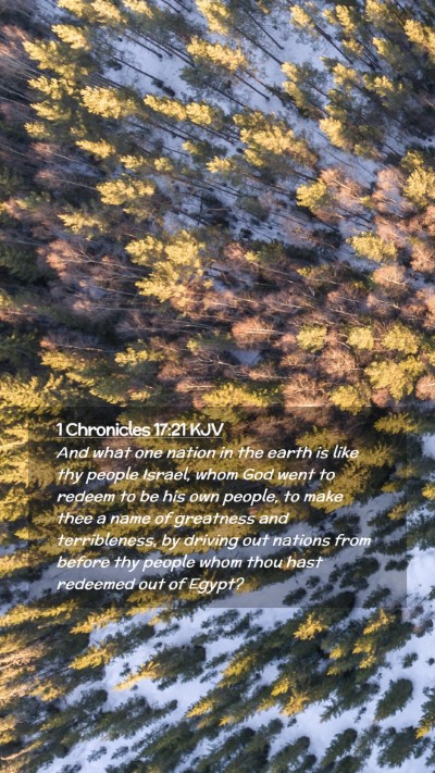 Picture 02 - 1 Chronicles 17:21 KJV Mobile Phone Wallpaper - And what one nation in the earth is like thy - Mobile Bible Verse Wallpaper