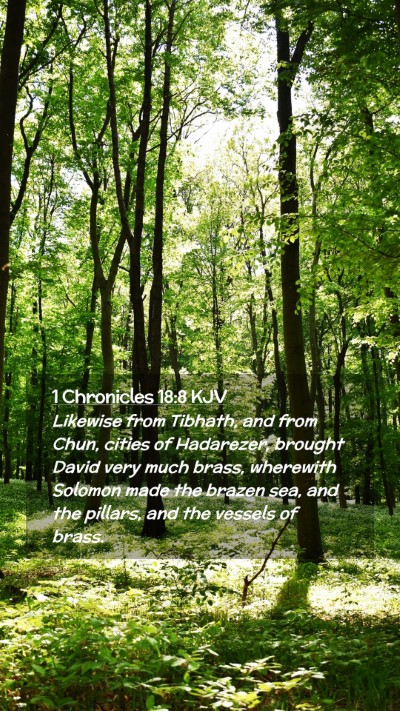 Picture 02 - 1 Chronicles 18:8 KJV Mobile Phone Wallpaper - Likewise from Tibhath, and from Chun, cities of - Mobile Bible Verse Wallpaper